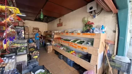 Fruteria Zepeda