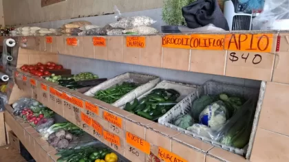 Fruteria Zepeda