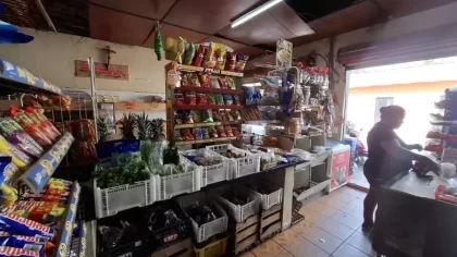Fruteria Zepeda