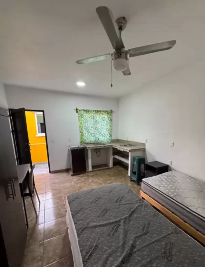 Renta de Departamentos en la Alameda