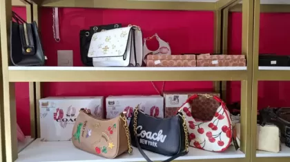 True Beauty Cosmetics