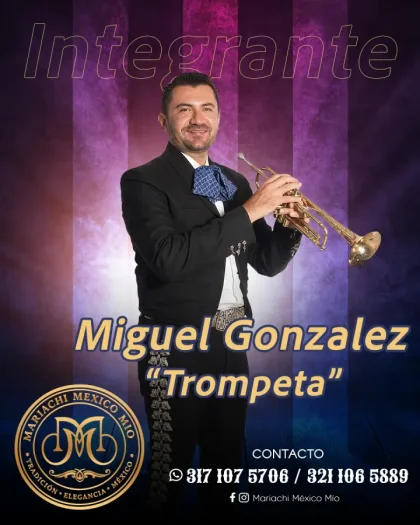 Mariachi México Mío