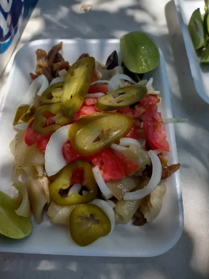 Carnitas Alma