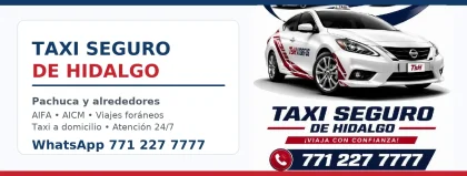Taxi Seguro de Hidalgo