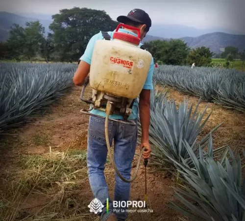 Bioproi