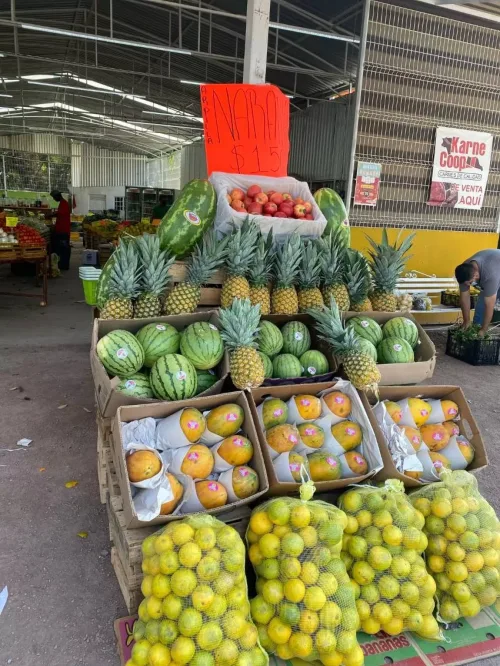 Bodega del Campo