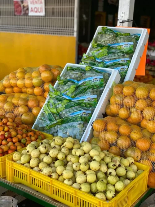 Bodega del Campo