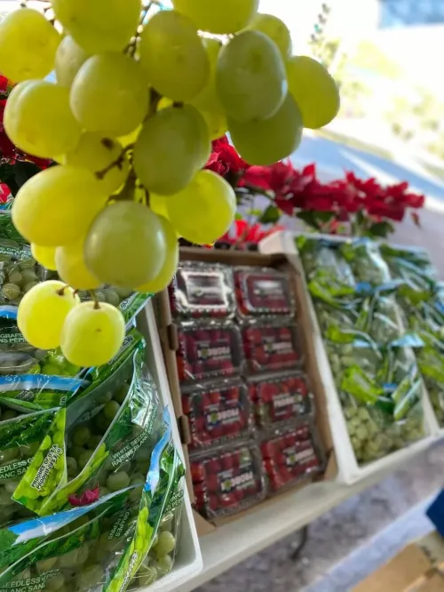 Bodega del Campo