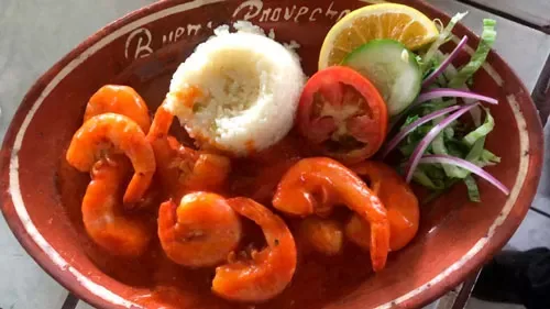 Restaurante el Manantial