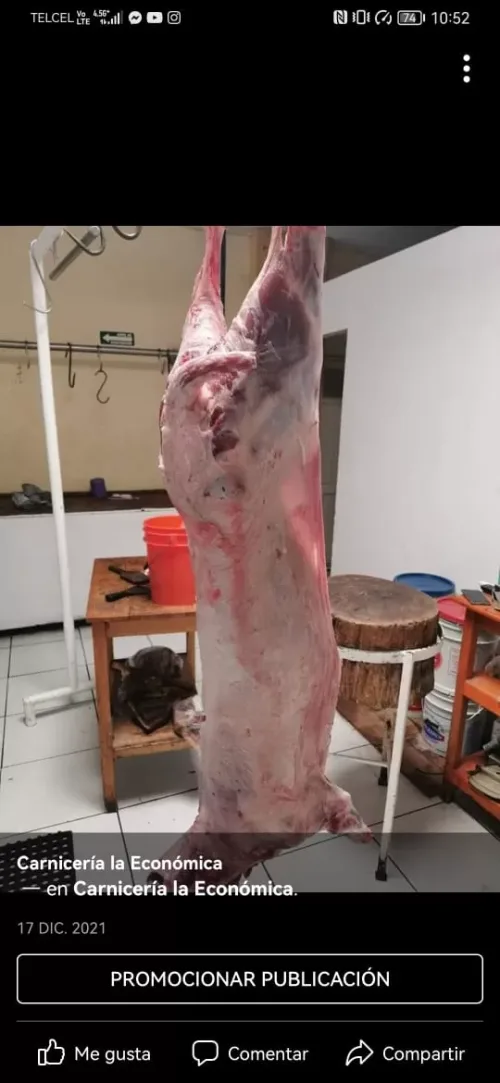 Carniceria y Minisuper la Economica