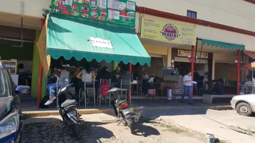 Restaurante el Chat