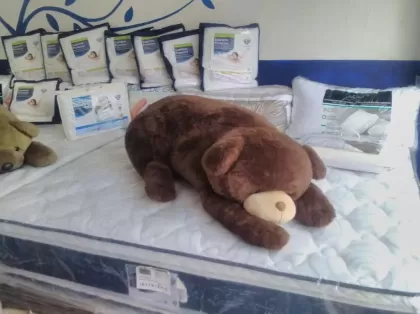 Colchonera Autlan