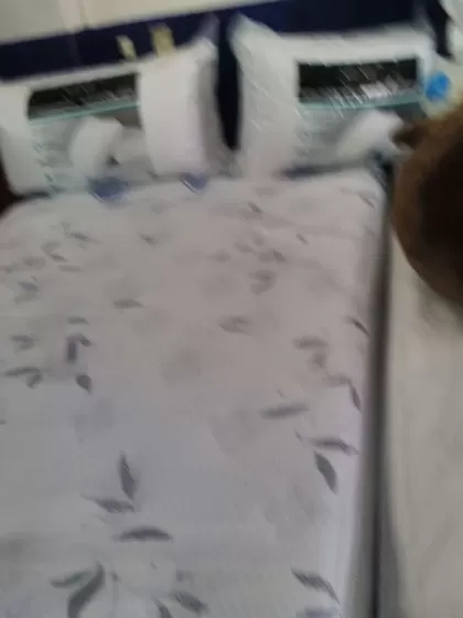 Colchonera Autlan