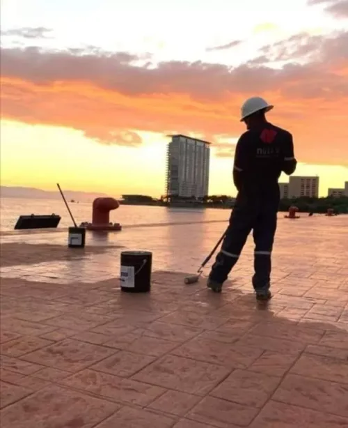 Dex Diseño y Construccion
