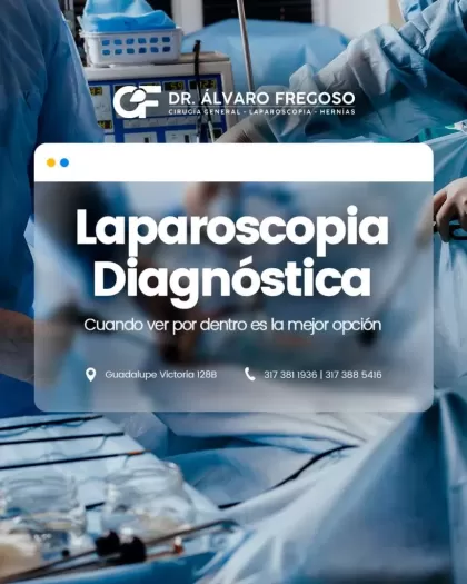 Dr. Alvaro Ismael Fregoso Reyes