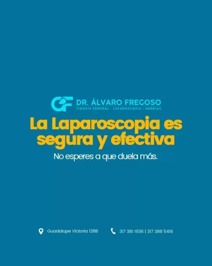 Dr. Alvaro Ismael Fregoso Reyes