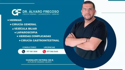 Dr. Alvaro Ismael Fregoso Reyes