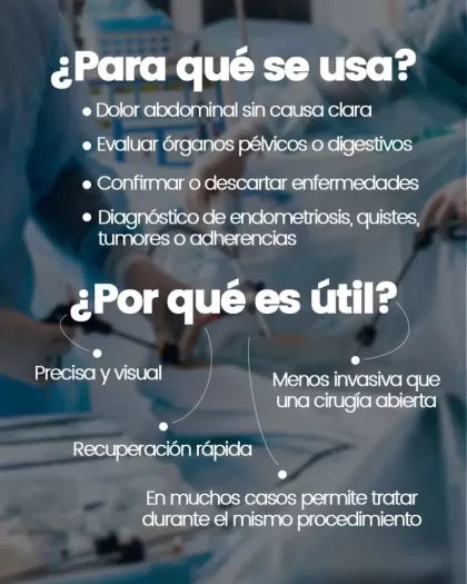 Dr. Alvaro Ismael Fregoso Reyes