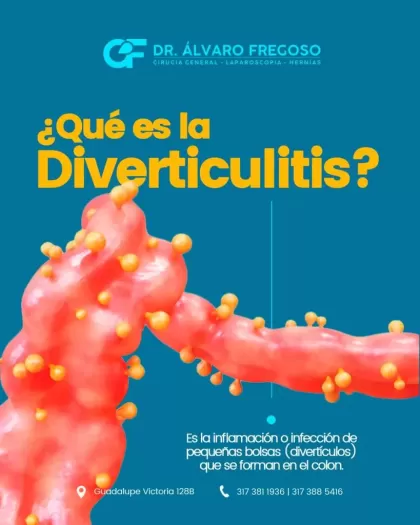 Dr. Alvaro Ismael Fregoso Reyes