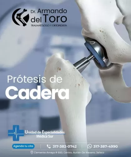 Dr. Armando del Toro Lomeli