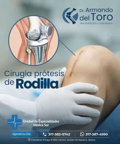Dr. Armando del Toro Lomeli