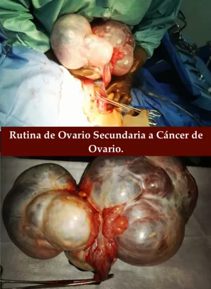 Dr. Daniel Garcia Carrasco