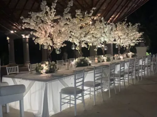 Eventos Blanca Tovar