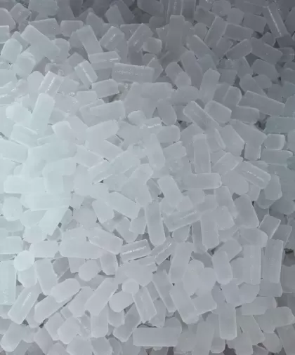 Fabrica de Hielo Gourmet