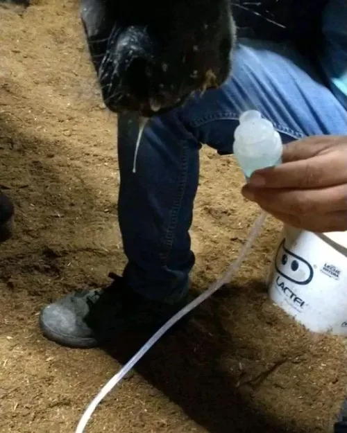 Farm And Ranch