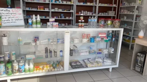 Farmacia de la Cruz