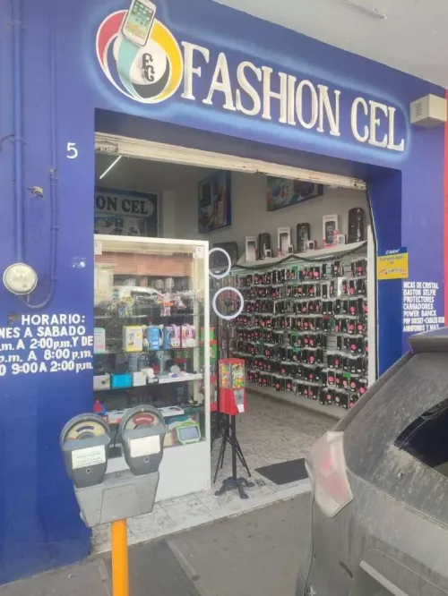Fashion Cel
