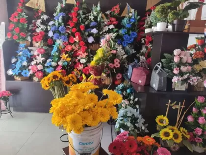 Floreria Mayra