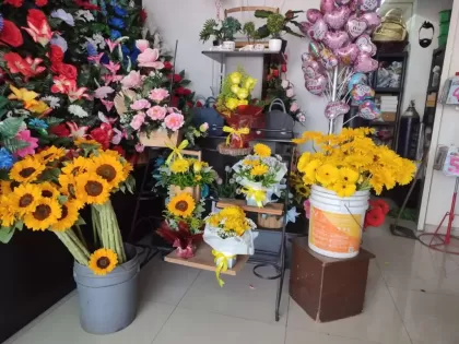 Floreria Mayra