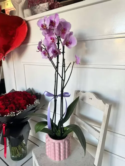 Flores con Amor Floreria