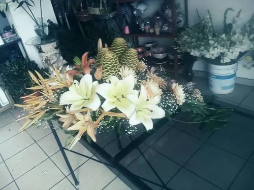 Floristeria Evelyn