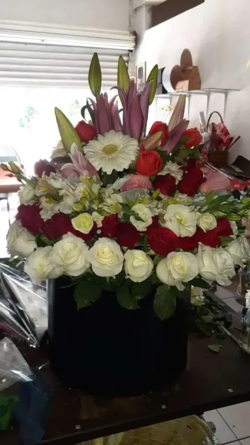 Floristeria Evelyn