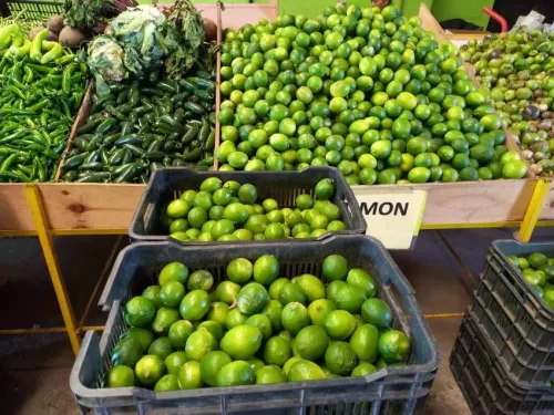Fruteria el Tesoro