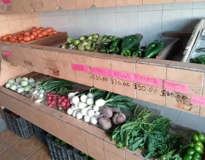 Fruteria Zepeda