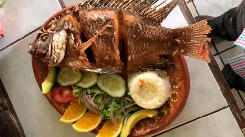 Restaurante el Manantial