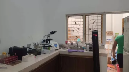 Laboratorio Hernandez