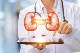 Médicos Especialistas Hg Promedica
