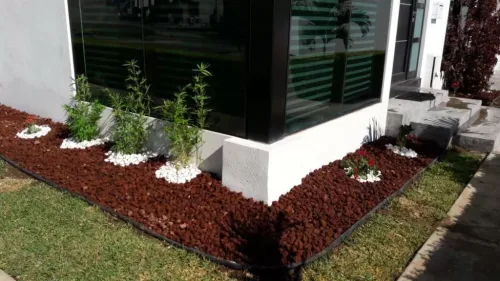 Mantenimiento de Albercas y Jardineria (V)