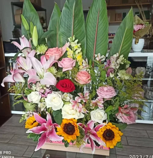 Mia Estilo Floral