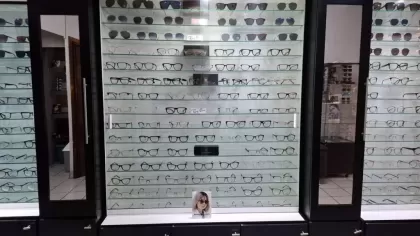 Optica Imagen Visual
