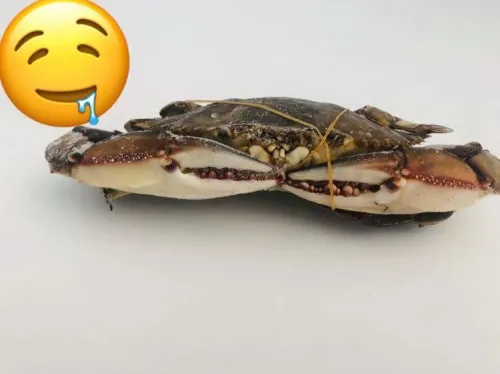 Pescaderia el July