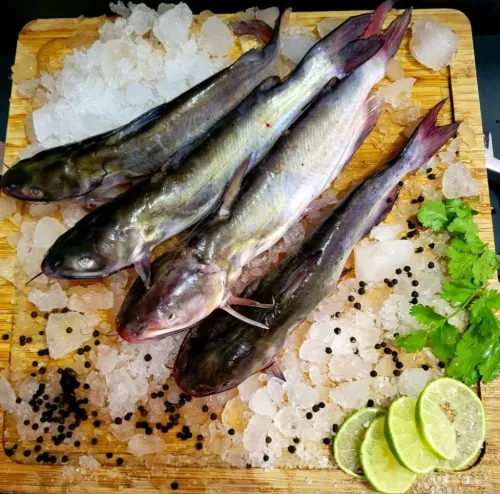 Pescaderia Montaño