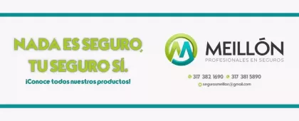 Seguros Meillon
