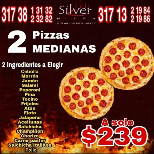 Silver Pizza