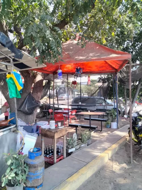 Tacos Roxy