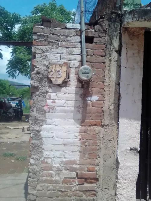 Taller el Palomo (V)